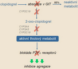 Mechanismy vzniku clopidogrelové rezistence